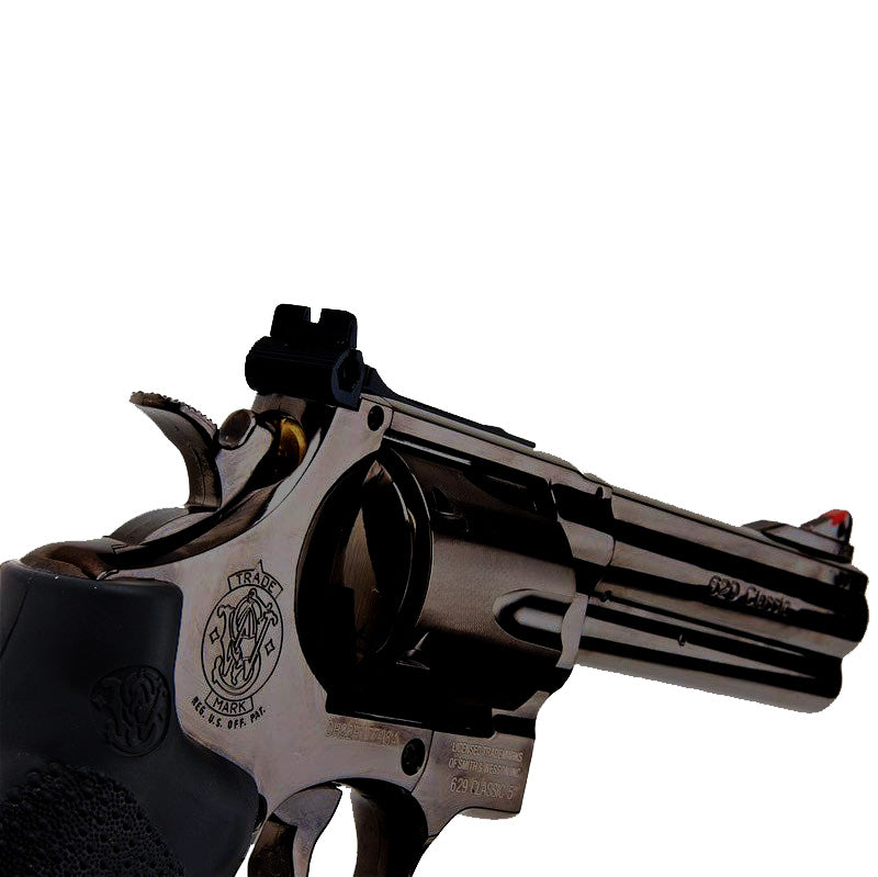 Umarex / WG S&W M629 5 Inch - CO2 Revolver