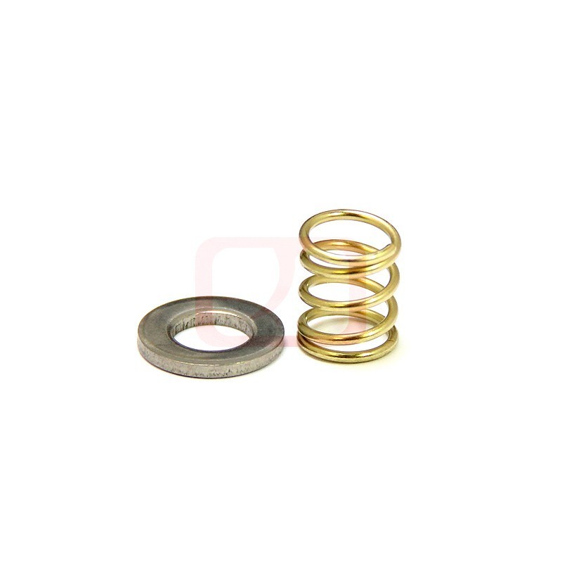 AIP Enhanced Recoil Spring and Shim